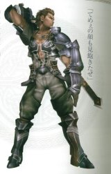 BUY NEW valkyrie profile - 183140 Premium Anime Print Poster